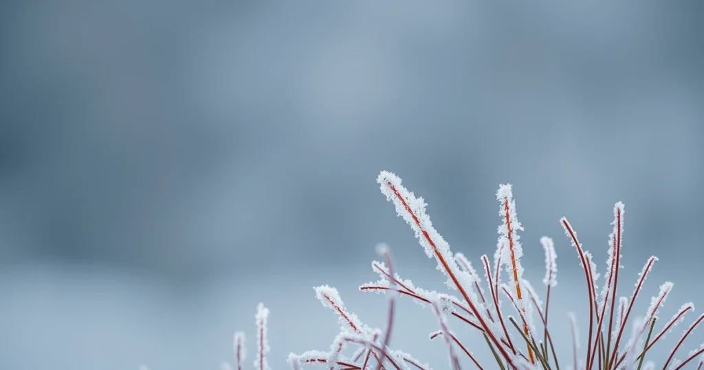 Frio intenso no Sul e alerta de seca no Centro-Oeste: prepare-se para o fim de semana!